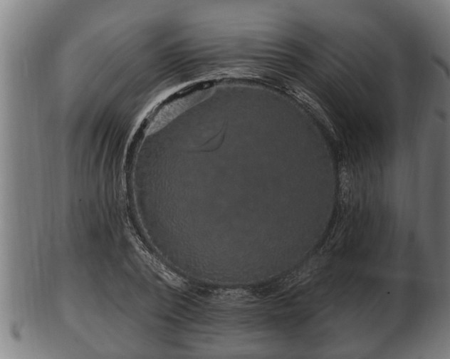 X0000103320784200809121147