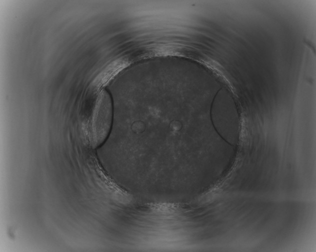 X0000103320785200809121147