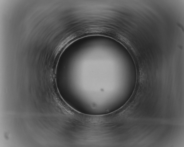 X0000103320786200809121147