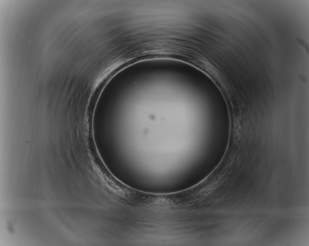 X0000103320787200809121147