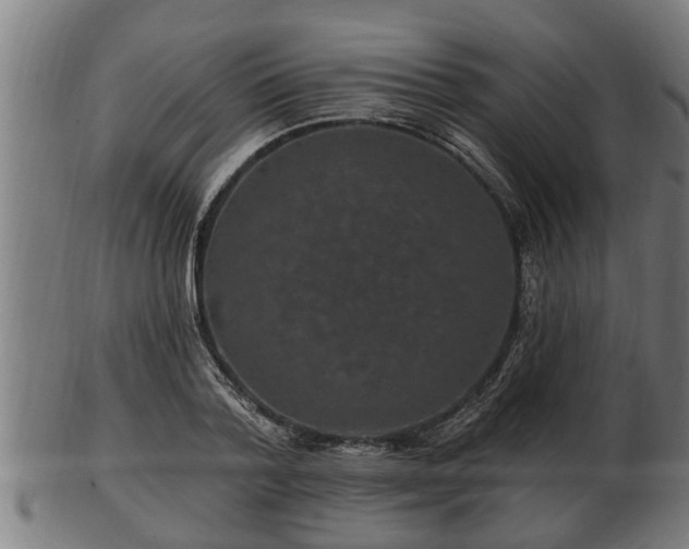 X0000103320788200809121147