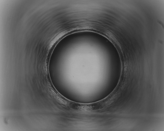 X0000103320789200809121147