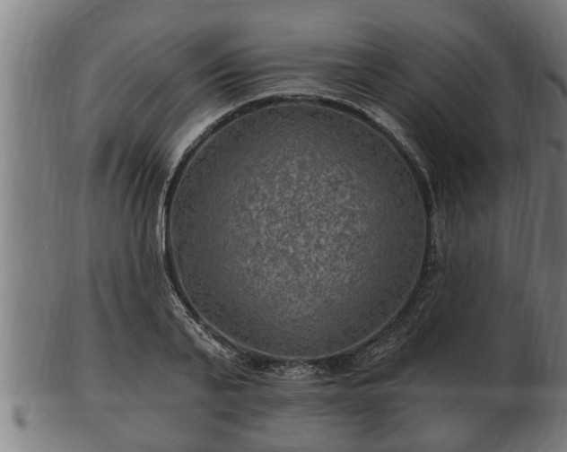 X0000103320791200809121147