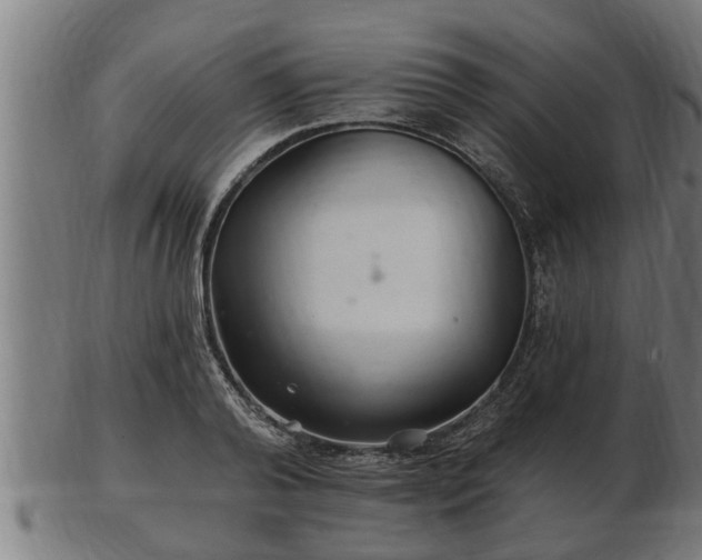 X0000103320792200809121147