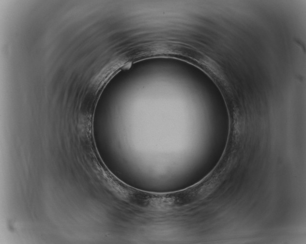 X0000103320793200809121147