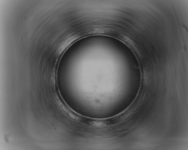 X0000103320794200809121147