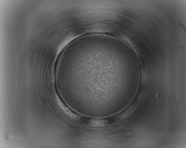 X0000103320795200809121147