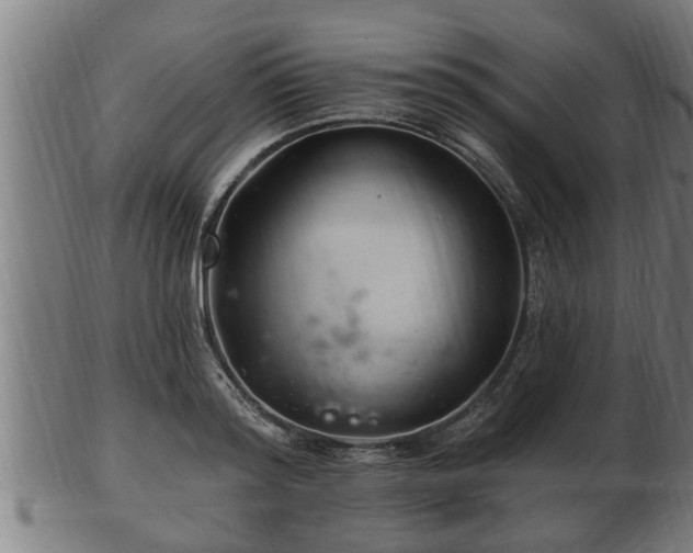 X0000103320796200809121147