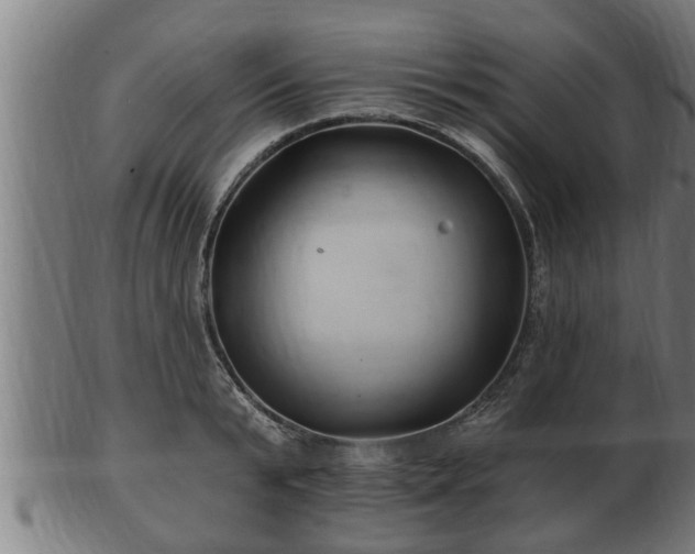 X0000103320799200809121147