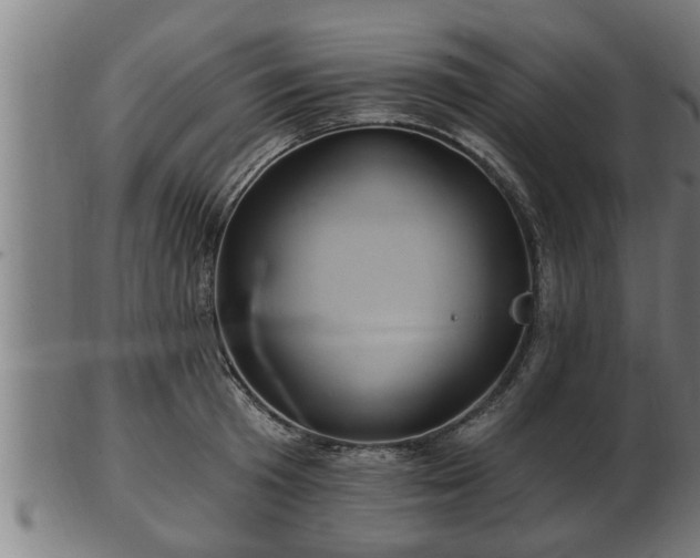 X0000103320801200809121147