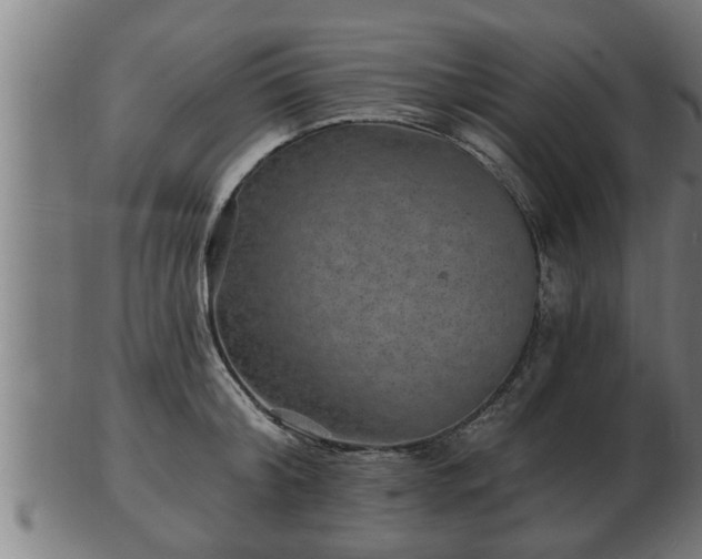 X0000103320804200809121146