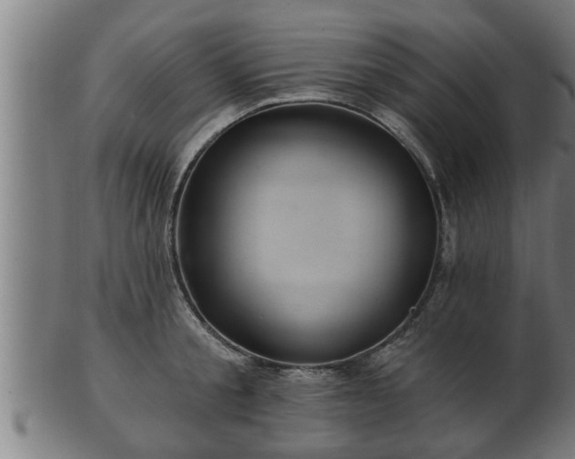 X0000103320805200809121146