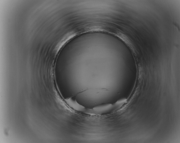 X0000103320806200809121146