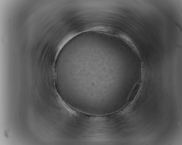 X0000103320808200809121146