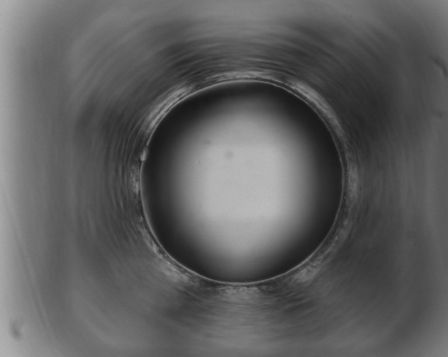 X0000103320809200809121146