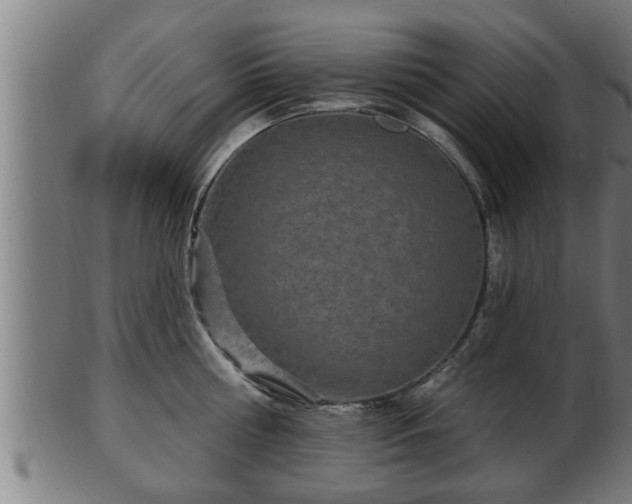 X0000103320810200809121146