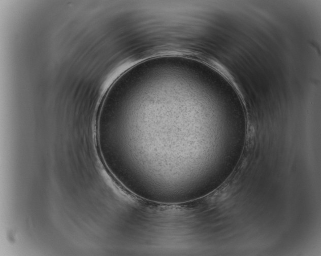 X0000103320811200809121146