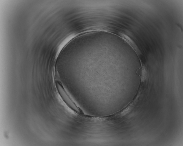 X0000103320812200809121146