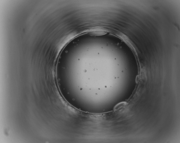 X0000103320813200809121146