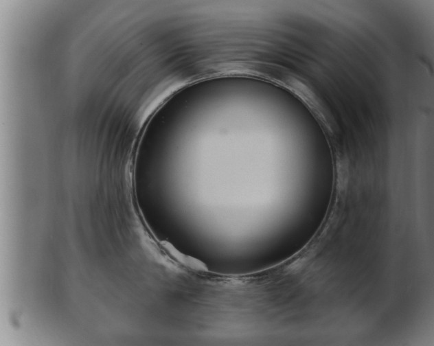 X0000103320814200809121146