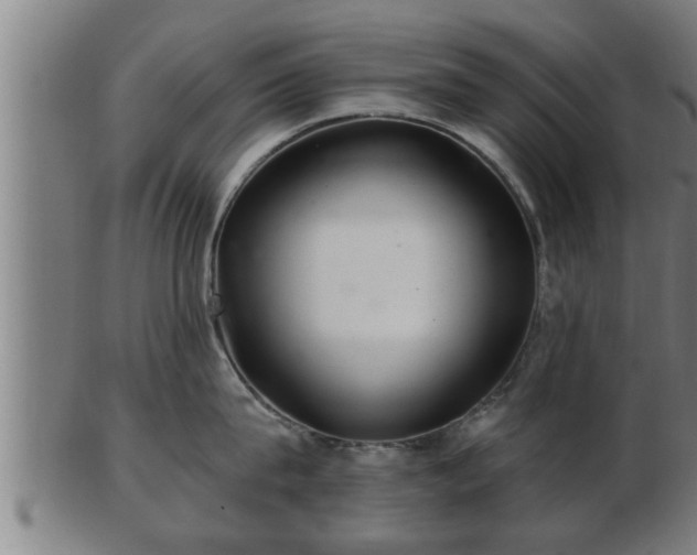 X0000103320815200809121146