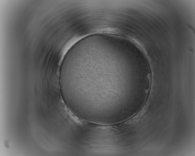 X0000103320816200809121146