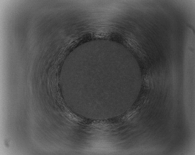 X0000103320817200809121145