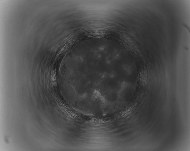 X0000103320818200809121146