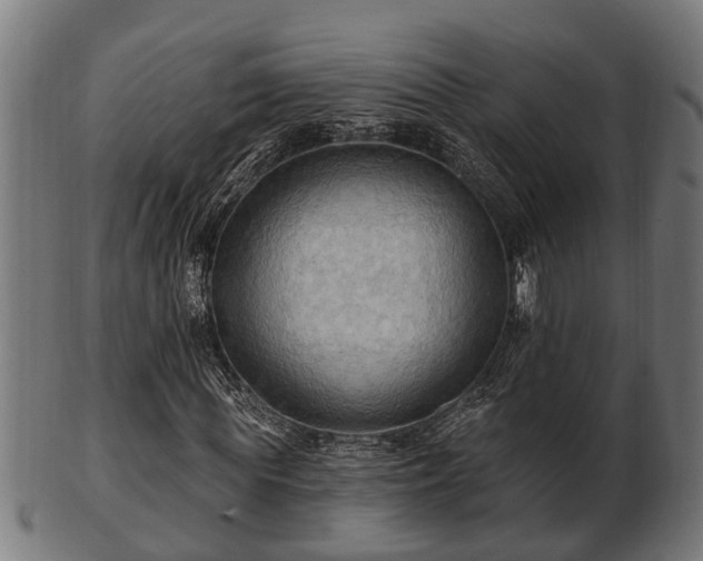 X0000103320819200809121146