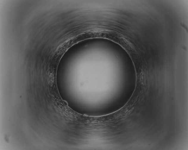 X0000103320821200809121146