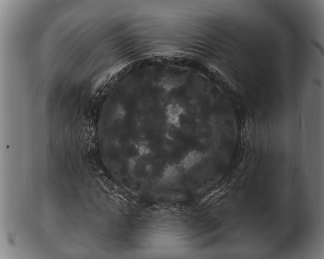 X0000103320822200809121146