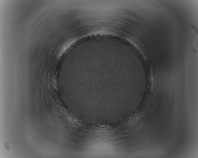 X0000103320823200809121146