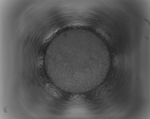 X0000103320824200809121146