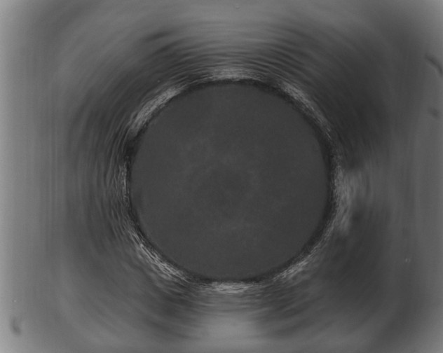 X0000103320825200809121146