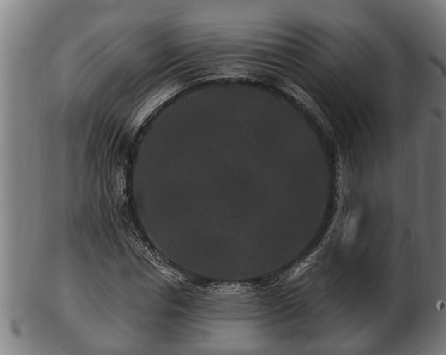 X0000103320826200809121146