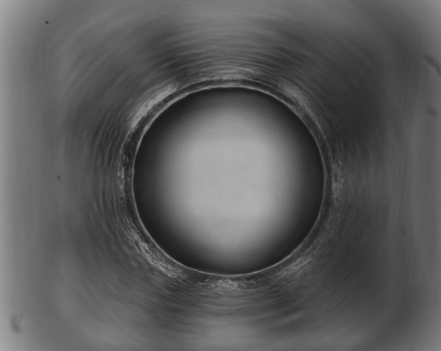 X0000103320827200809121146