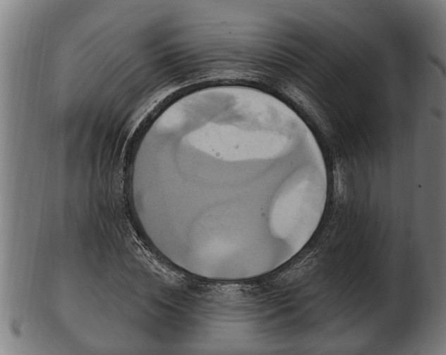 X0000103320828200809121146