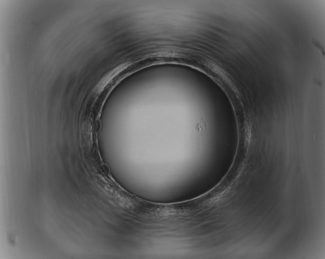 X0000103320829200809121146