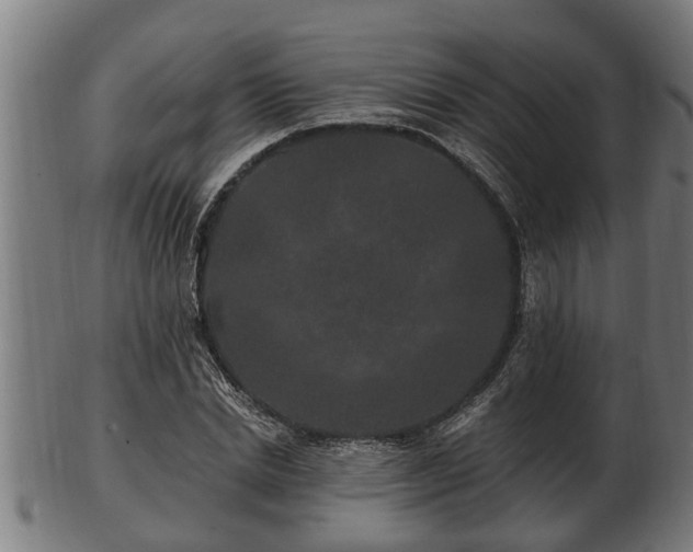 X0000103320830200809121146