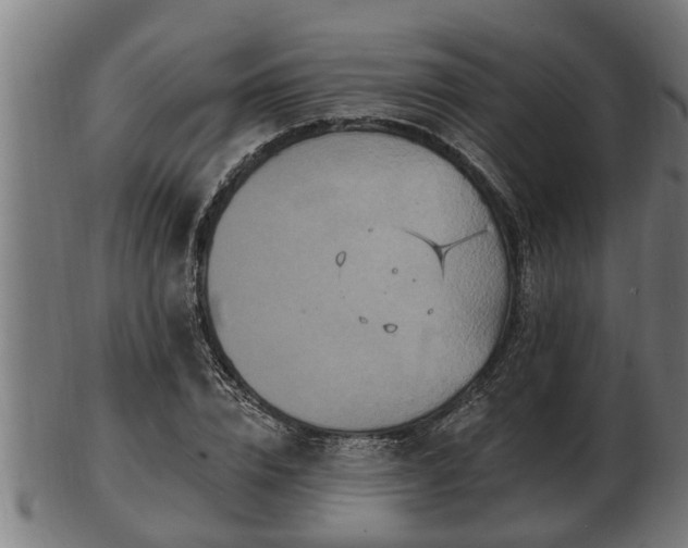 X0000103320832200809121146