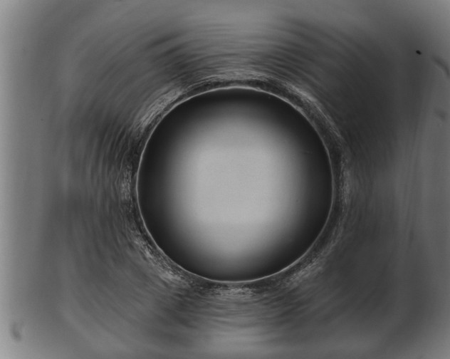 X0000103320833200809121146