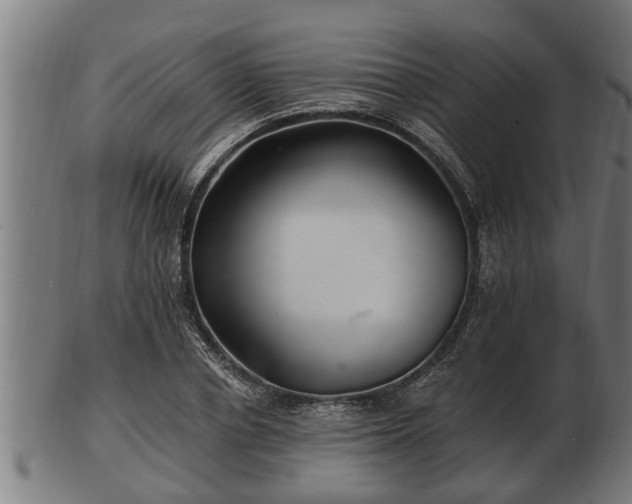 X0000103320834200809121146