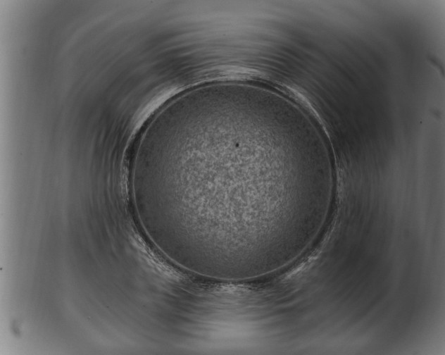 X0000103320835200809121146