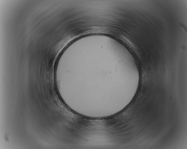 X0000103320836200809121146