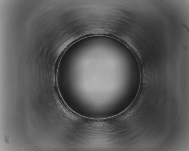 X0000103320837200809121146