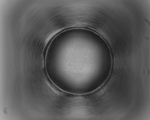 X0000103320838200809121146