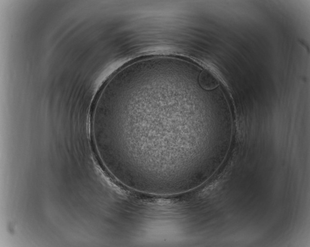 X0000103320839200809121146