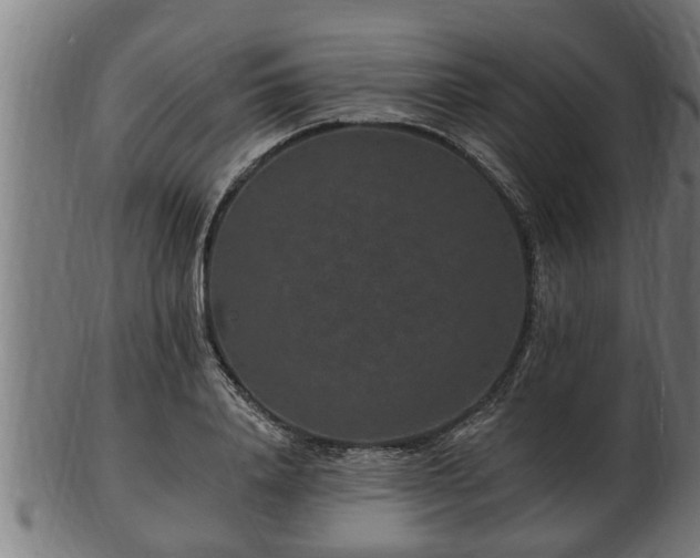 X0000103320840200809121146