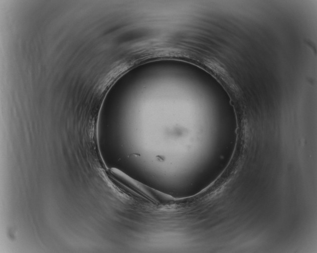 X0000103320841200809121146