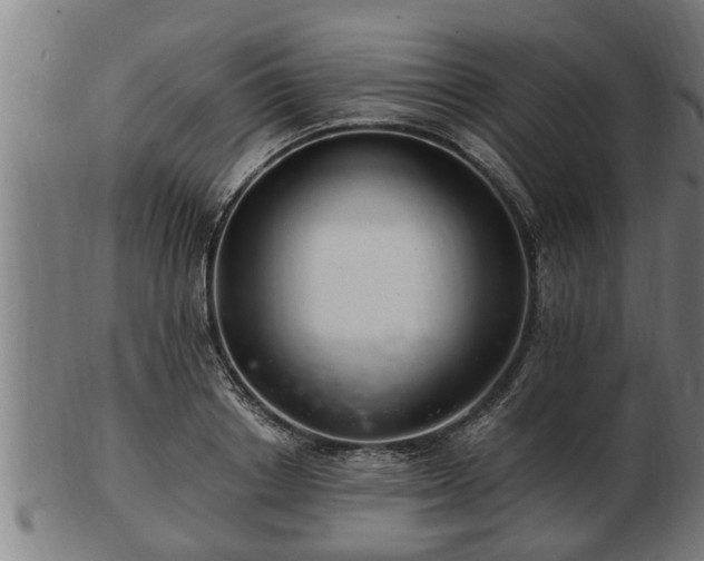 X0000103320842200809121146